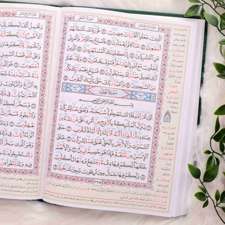 Mushaf Al-Muallim Al-Tarteel – Complete Tajweed Rules & Thematic Analysis
