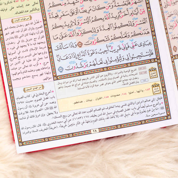 Mushaf Al-Tafseel Al-Mawdu’i for Hafiz Al-Mutqan | Standard Size for comfortable and clear reading Quran – 17x24 cm