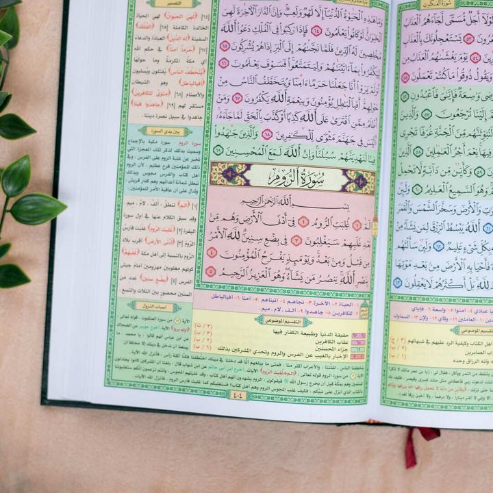 Mushaf Al-Taqseem Al-Mawdu’i for Hafiz Al-Mutqan | Standard Size for Reading  Quran & Study – 17x24 cm
