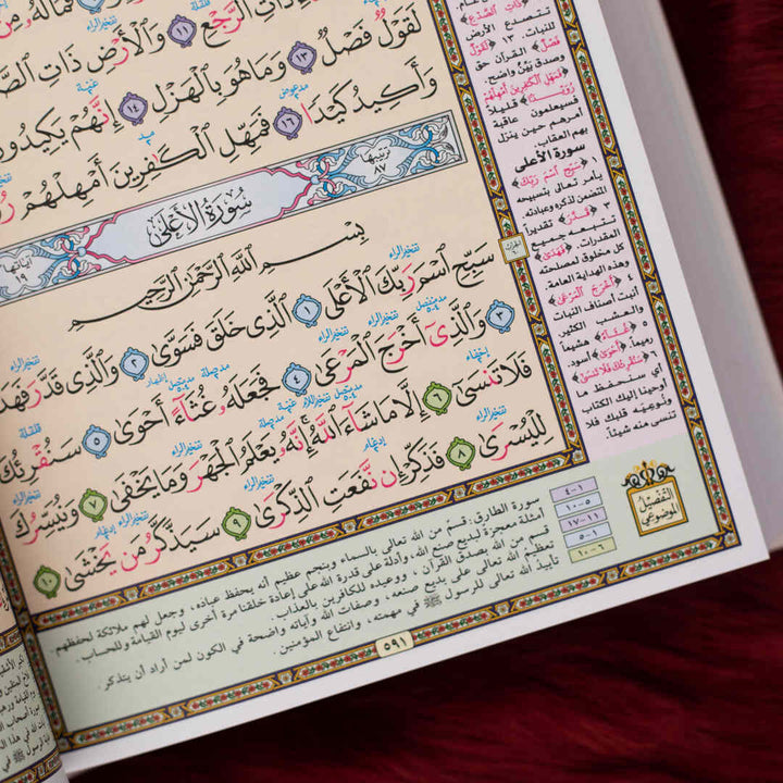 Mushaf Muallim Al-Tarteel Al-Mufassar | Standard Size Quran with Tajweed Rules and Comprehensive Explanation –  17×24 cm