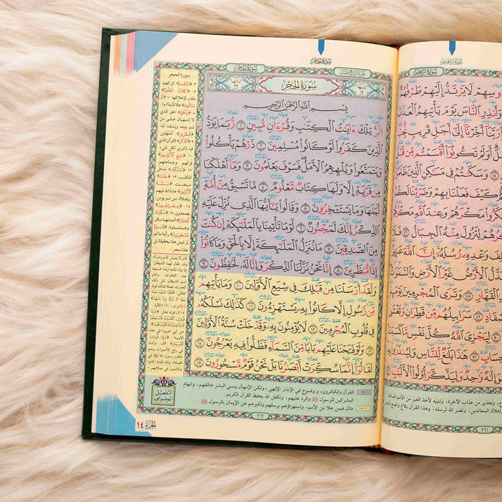 Quran Recitation Teacher with Tajweed and Detailed Commentary - Featuring 'Al-Tibyan' Margin for Words & Reasons of Revelation