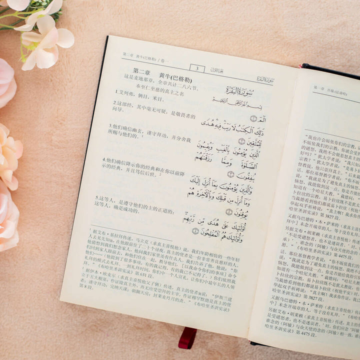Quran Translated to Chinese | Medium Size with Accurate Translation and Interpretation – 14x20 cm