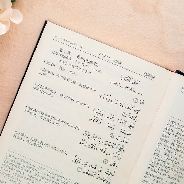Quran Translated to Chinese | Medium Size with Accurate Translation and Interpretation – 14x20 cm
