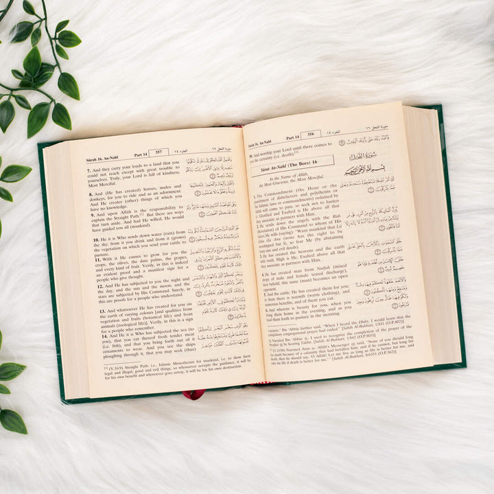 Quran Translated to English | Medium Size with Accurate Translation and Interpretation – 14x20 cm