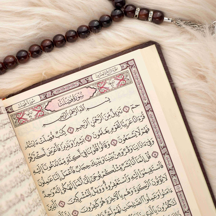 Set of 36 Qurans in Box for Distribution | Medium Size 14×20 cm
