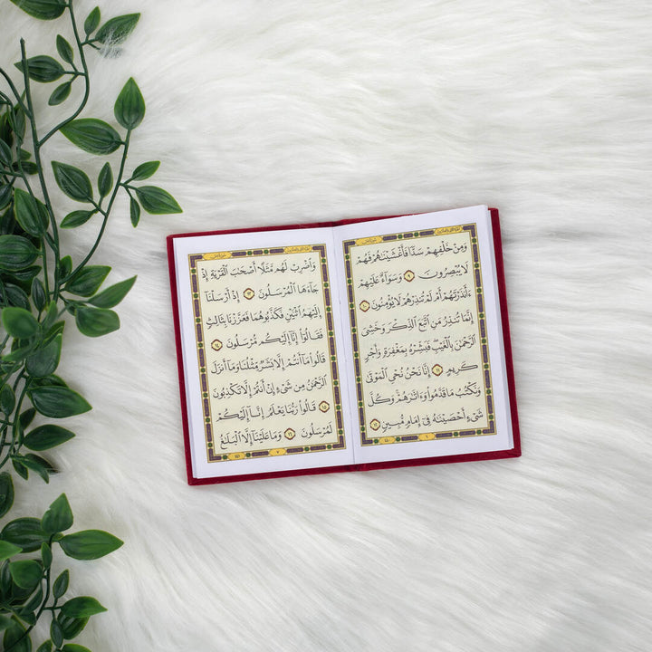 Surah Yaseen with Elegant Velvet Cover Quran | Small Size for read anytime, anywhere – 8×12 cm