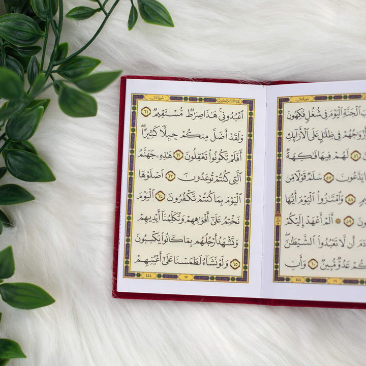 Surah Yaseen with Elegant Velvet Cover Quran | Small Size for read anytime, anywhere – 8×12 cm