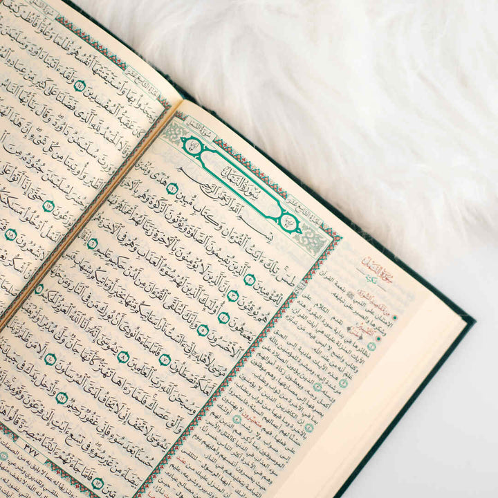 The Quran Reflection & Implementation | For Deeper Understanding and Practical Application